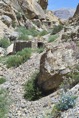 IMG00725