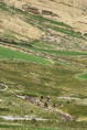 IMG00741
