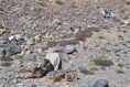 IMG00868