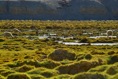 IMG00883