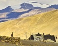IMG00911