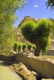 IMG00976
