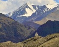 IMG01002