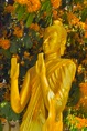 IMG02577* Mask