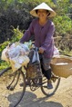 IMG02684* Mask