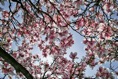 DP00097* DoNotMask