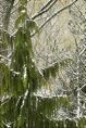 IMG05051*