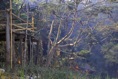IMG02043*
